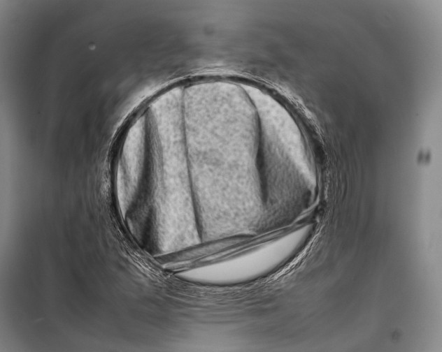 X0000098221167200805151310