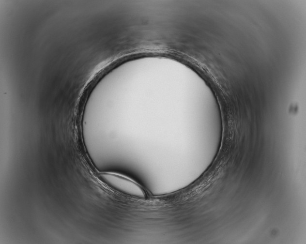 X0000098221168200805151310