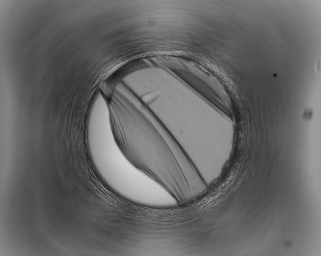 X0000098221169200805151310