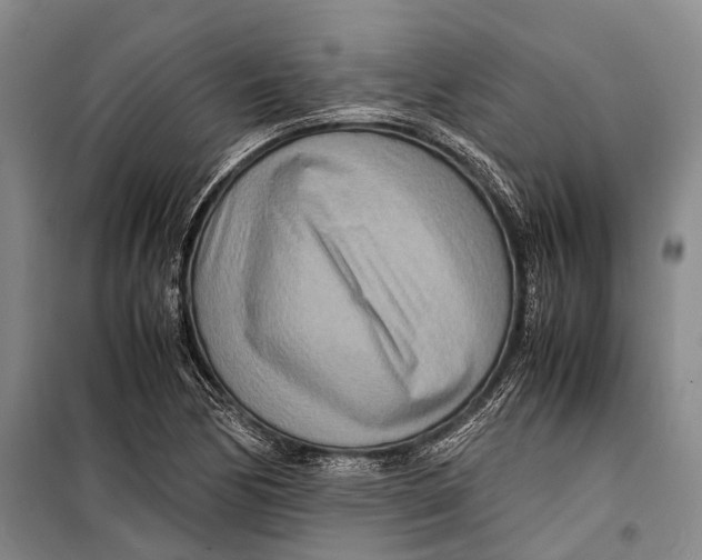 X0000098221170200805151310