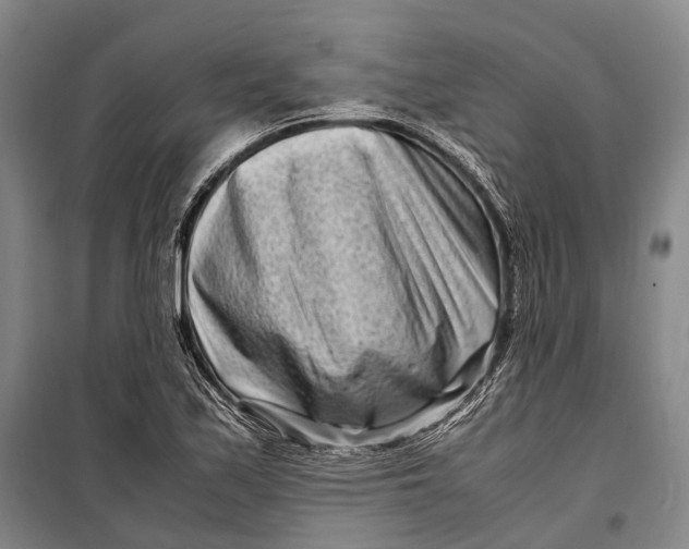 X0000098221171200805151310