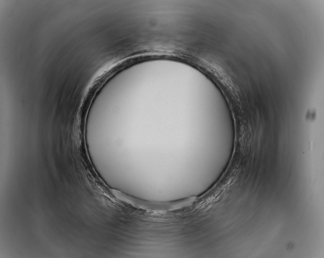 X0000098221172200805151310