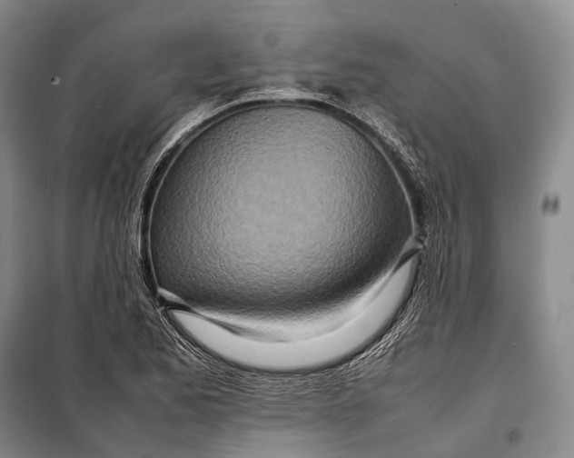 X0000098221173200805151310