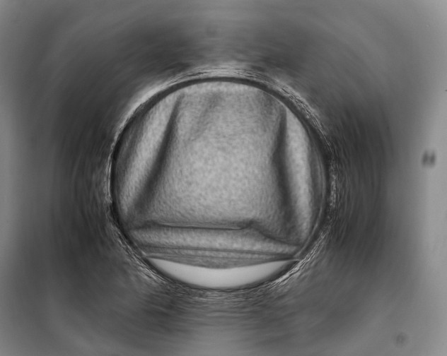 X0000098221174200805151310