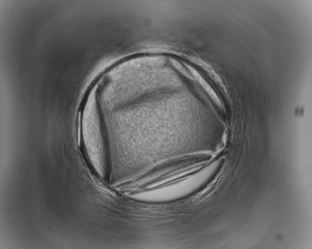 X0000098221175200805151310