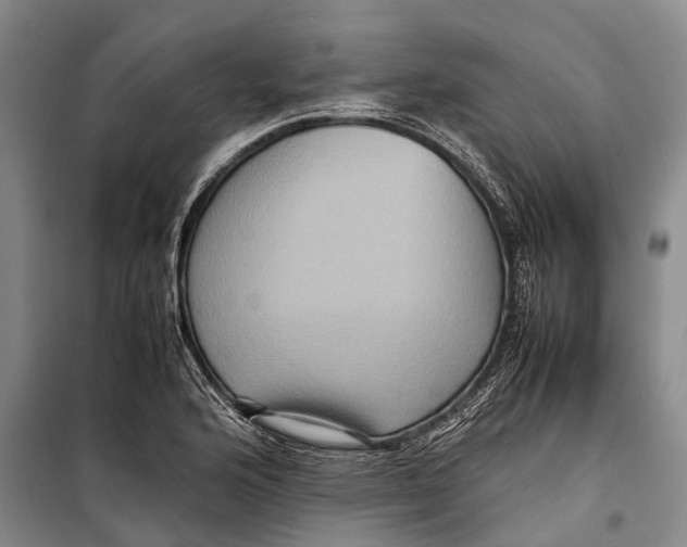 X0000098221176200805151310