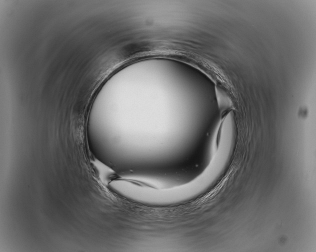 X0000098221177200805151310