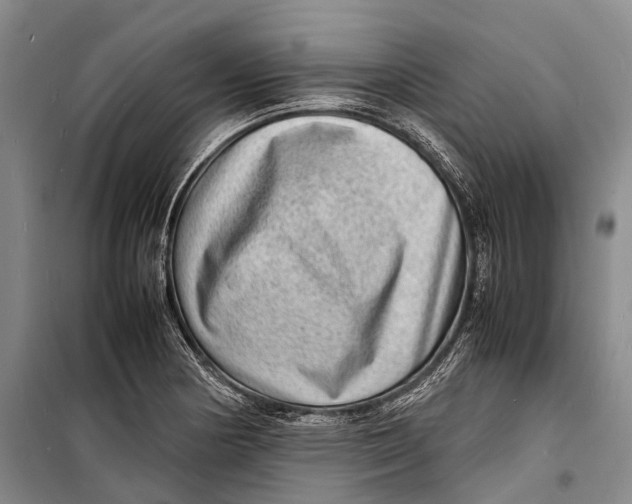 X0000098221178200805151310