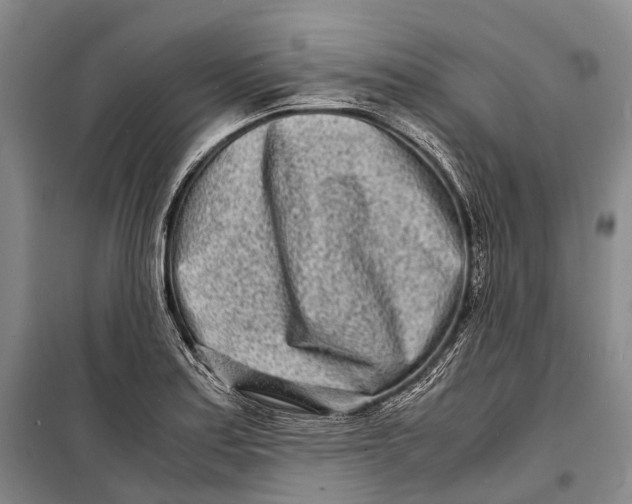 X0000098221179200805151310