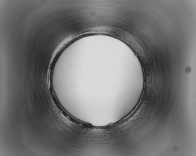 X0000098221180200805151310