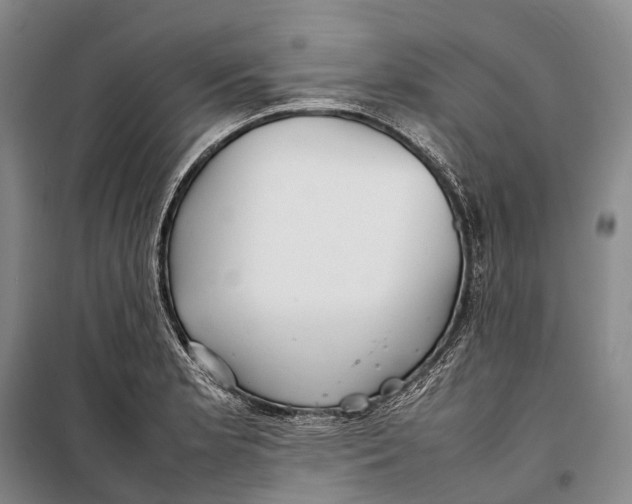 X0000098221181200805151310