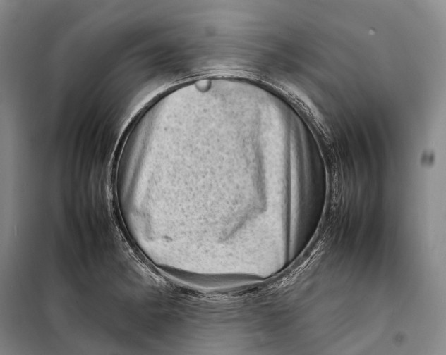 X0000098221182200805151310