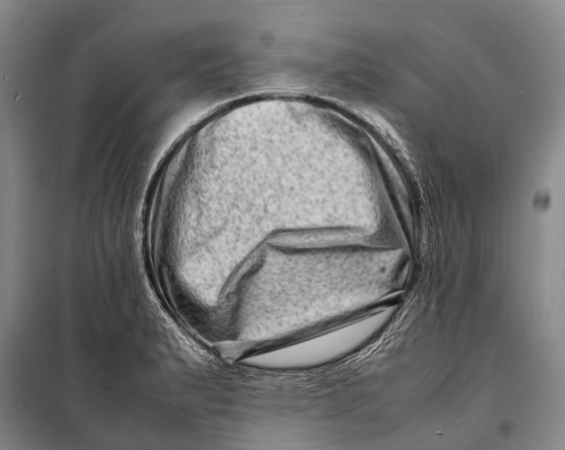 X0000098221183200805151310