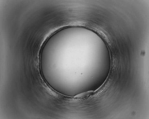 X0000098221184200805151310