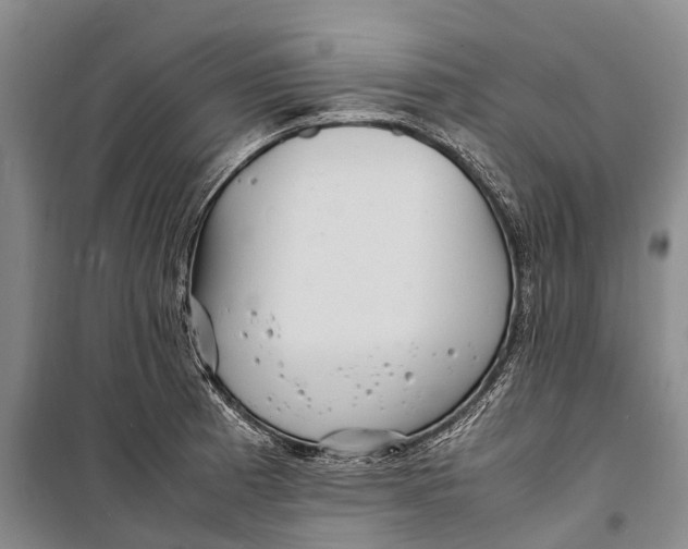 X0000098221185200805151310