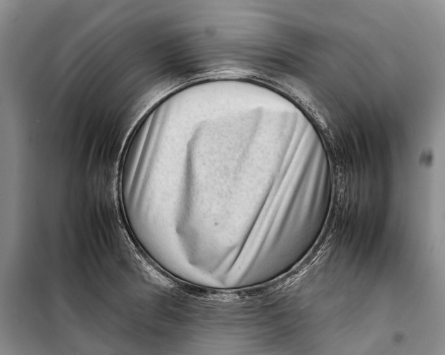 X0000098221186200805151310