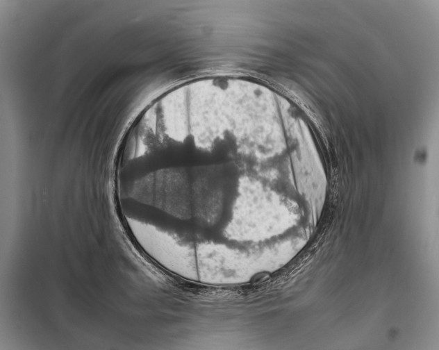 X0000098221187200805151310