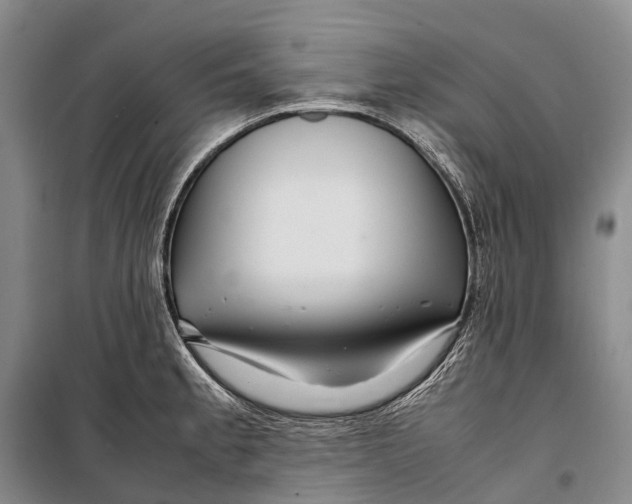 X0000098221189200805151310