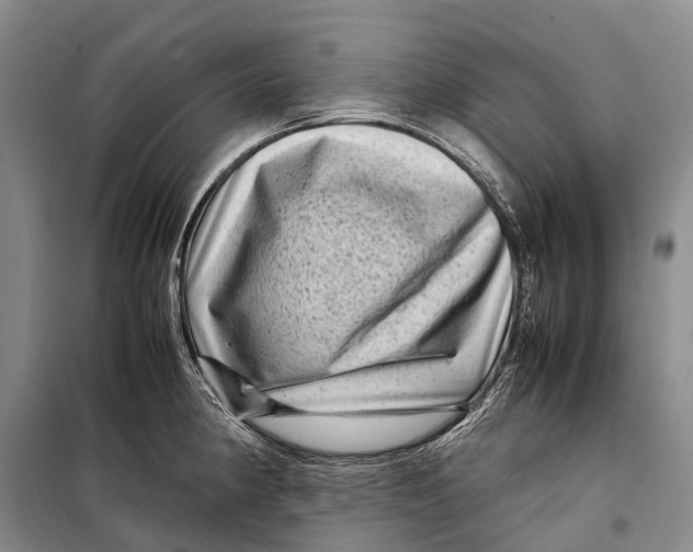 X0000098221190200805151309