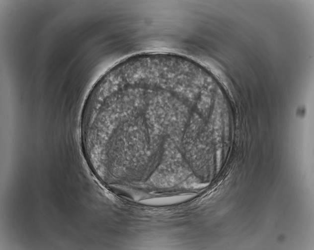 X0000098221191200805151309