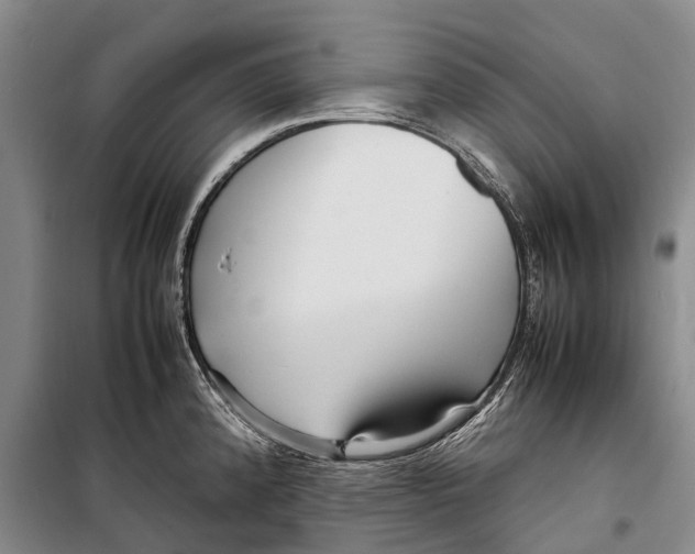 X0000098221192200805151309