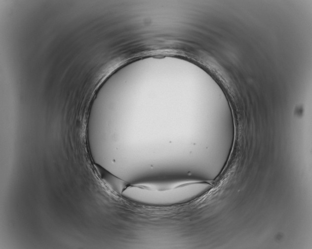 X0000098221193200805151309