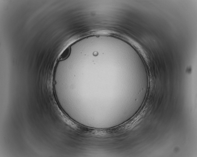 X0000098221194200805151309