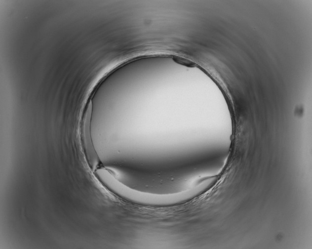 X0000098221197200805151309