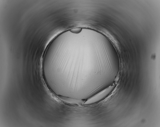 X0000098221198200805151309