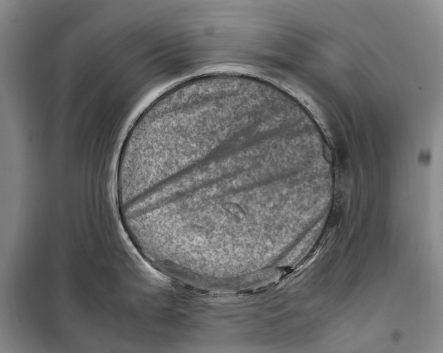 X0000098221199200805151309