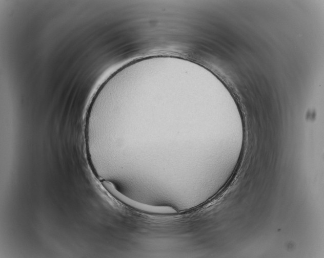 X0000098221200200805151309