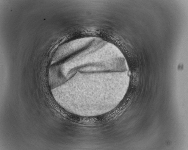 X0000098221201200805151308