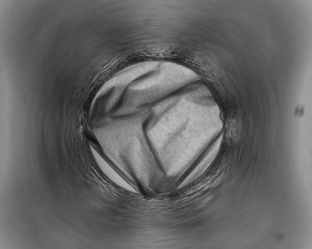 X0000098221202200805151308