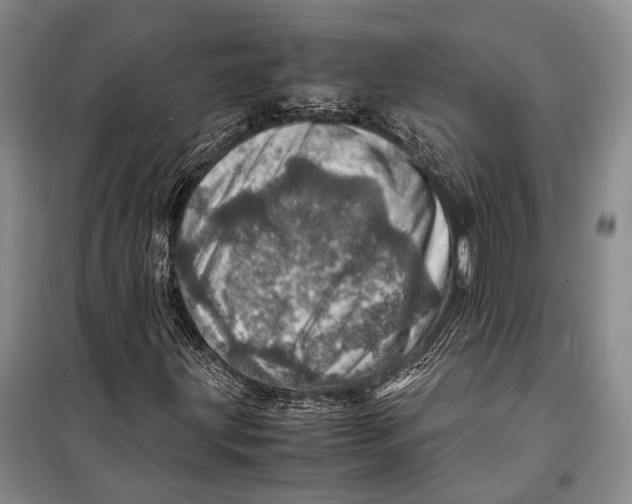 X0000098221203200805151309