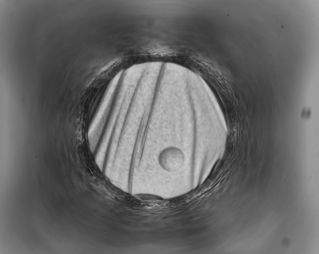 X0000098221205200805151309