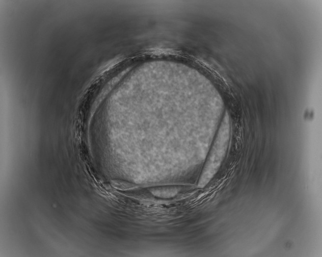 X0000098221207200805151309