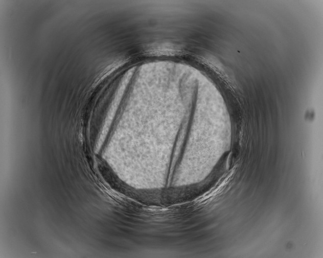 X0000098221209200805151309