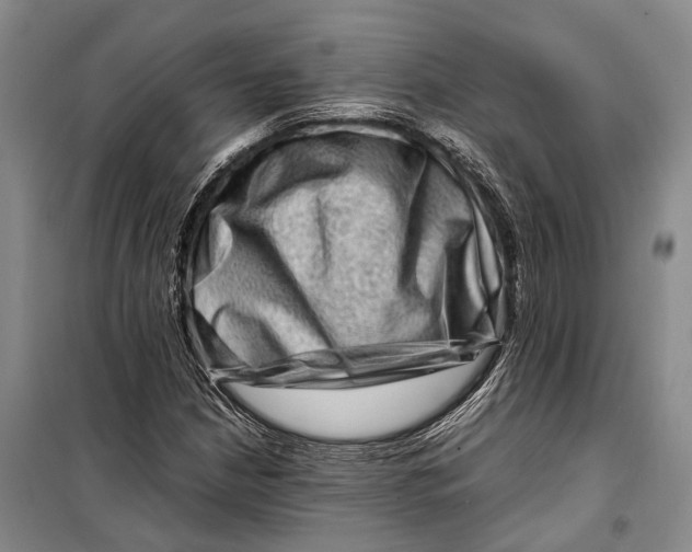 X0000098221210200805151309