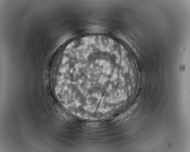 X0000098221211200805151309