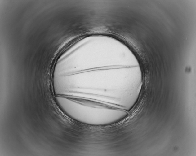 X0000098221212200805151309