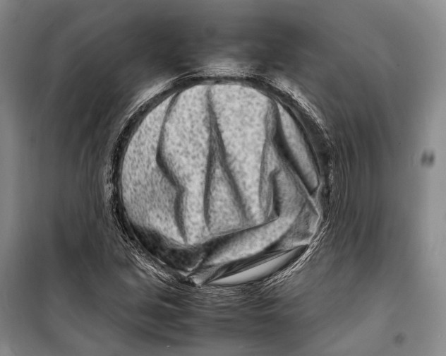 X0000098221213200805151309