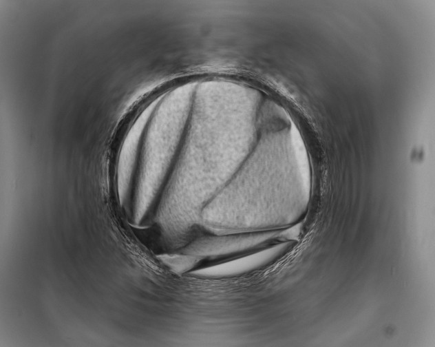 X0000098221214200805151309