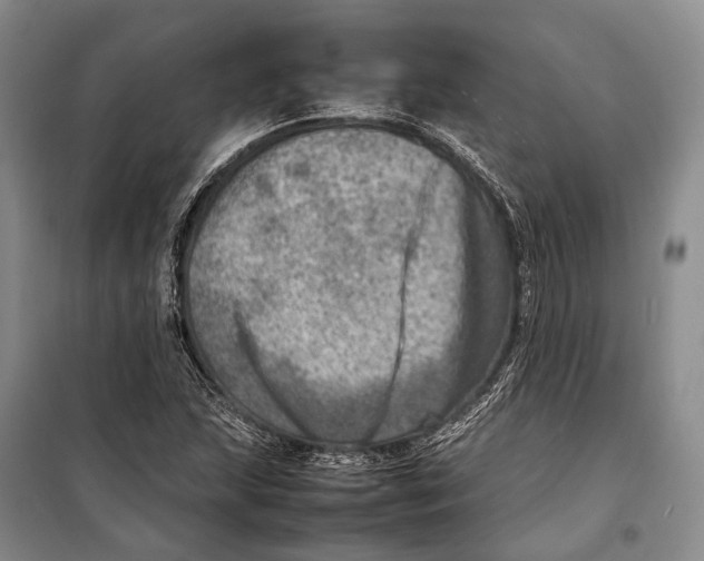 X0000098221215200805151309