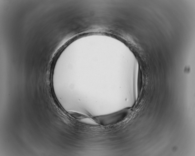 X0000098221216200805151309