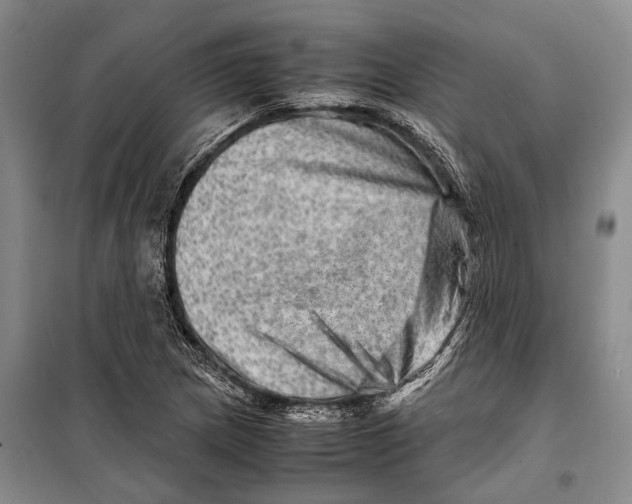 X0000098221217200805151309