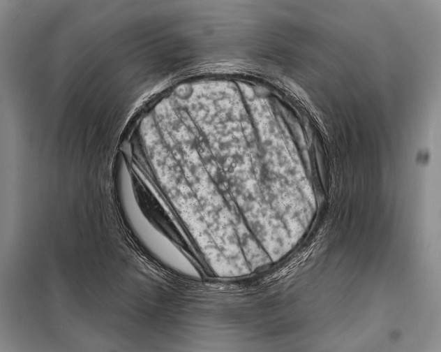 X0000098221218200805151309