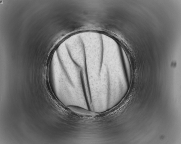 X0000098221220200805151309