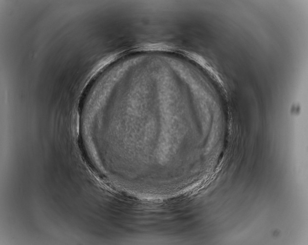 X0000098221221200805151309