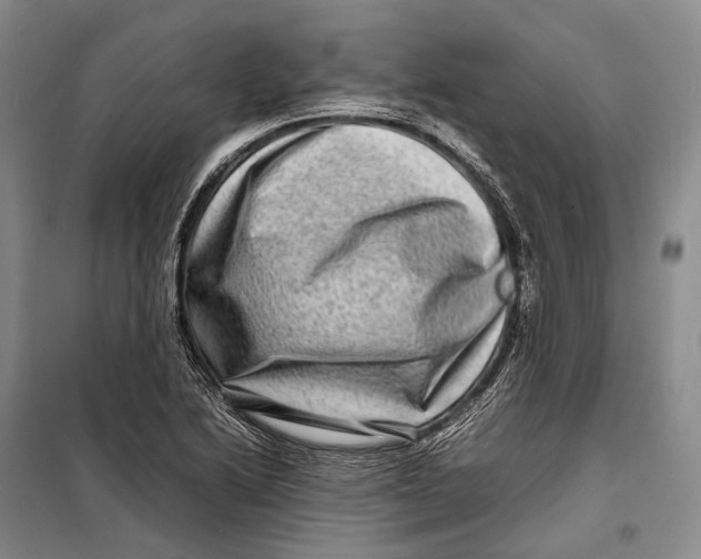 X0000098221222200805151309