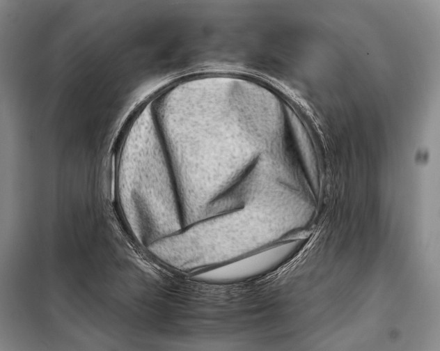 X0000098221223200805151309